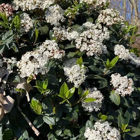 شقة Modern W Terrace 250m From & Pool *